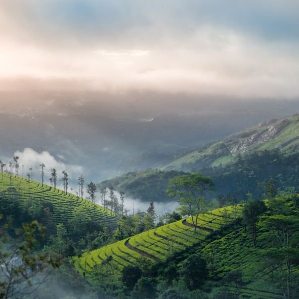 Sunrise over misty hills in Kerala, the start of a daily routine